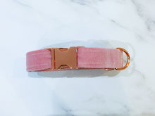 Load image into Gallery viewer, Peony pink velvet dog collar