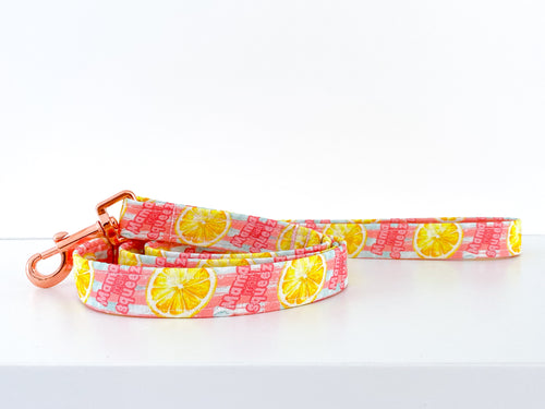 Mama's Main Squeeze Dog Leash