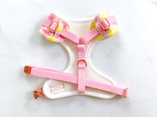 Load image into Gallery viewer, Mama&#39;s Main Squeeze Adjustable Dog Harness