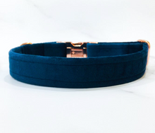 Load image into Gallery viewer, Marine Blue Velvet Collar