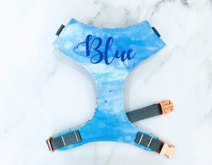 Sky Blue Summer Beach harness