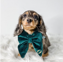 Load image into Gallery viewer, Dark green velvet bow tie/ sailor bow