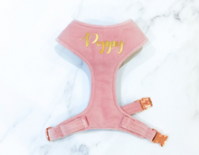 Load image into Gallery viewer, Peony pink velvet dog harness bundle
