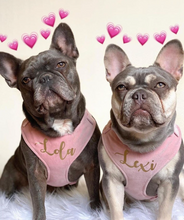 Load image into Gallery viewer, Peony pink velvet dog harness bundle