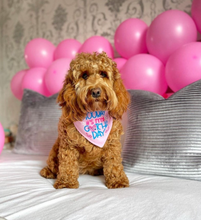 Load image into Gallery viewer, Happy gotcha day dog bandana – Available in Pink and Blue