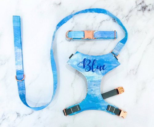 Ocean blue harness bundle