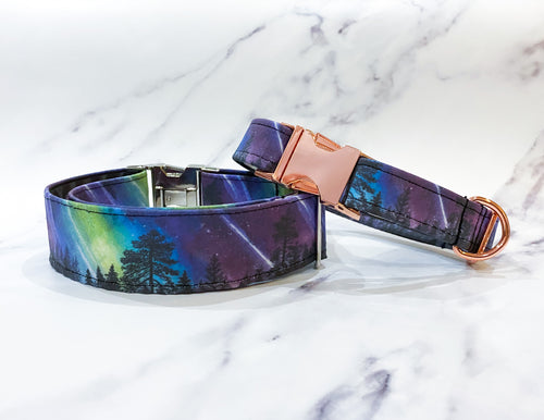 Northern Lights in Forest Dog Collar