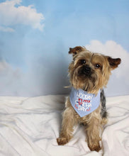 Load image into Gallery viewer, Happy gotcha day dog bandana – Available in Pink and Blue