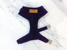 Load image into Gallery viewer, Deep violet velvet dog harness