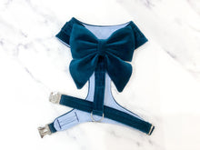 Load image into Gallery viewer, Teal blue velvet dog harness bundle