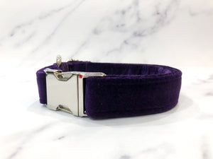 Deep violet velvet collar