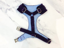 Load image into Gallery viewer, Deep violet velvet dog harness bundle