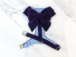 Deep violet velvet dog harness bundle