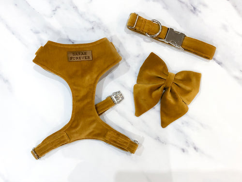 Mustard gold velvet dog harness bundle